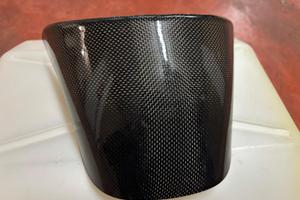 Carbonio Ducati SS super sport