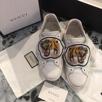 Scarpe Gucci Ace