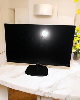 monitor 273v