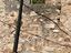 Immagine 6