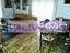 Immagine 25