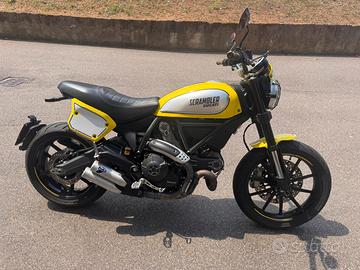 ducati scrambler flat track pro