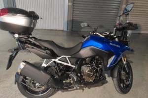 Suzuki VS 800 - 2024