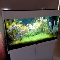 Acquario Juwel Rio 125 LED con Mobile Coordinato