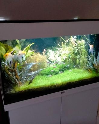 Acquario Juwel Rio 125 LED con Mobile Coordinato