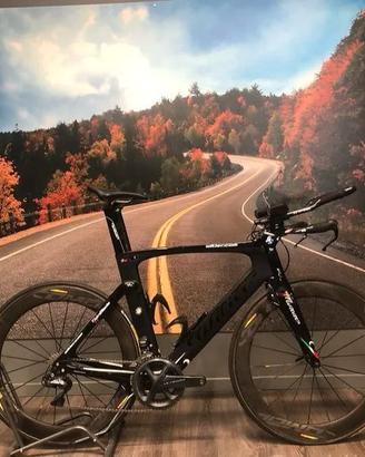 Wilier Twin Blade Triathlon