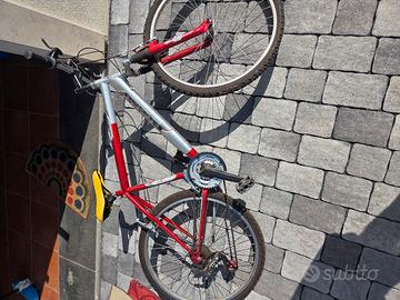 Bicicletta "Gianni Bugno"