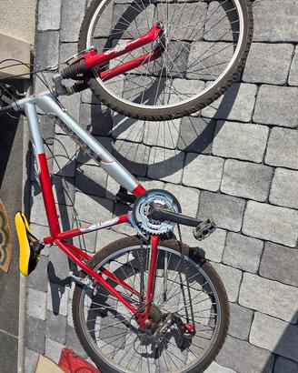 Bicicletta "Gianni Bugno"