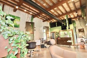 ATTIVITÀ A REGGIO NELL'EMILIA