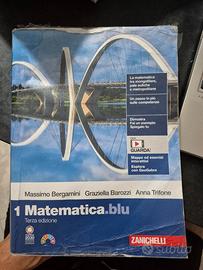 matematica blu 1 ha preso acqua