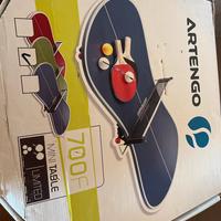 Tavolo ping pong