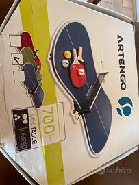 Tavolo ping pong