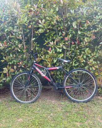 biciclette 