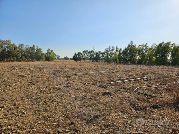 Terreno agricolo Samassi