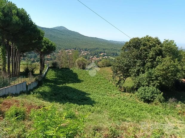 TER. AGRICOLO A ROCCA PRIORA