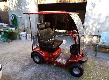 Veicolo elettrico per disabili