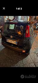 Panda nuova