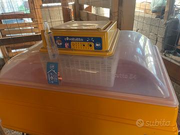 Incubatrice 56 posti