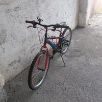 Bicicletta Montain Bike