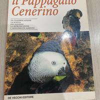 il pappagallo cenerino. Barat, De vecchi