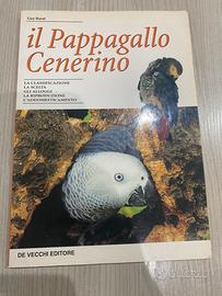 il pappagallo cenerino. Barat, De vecchi