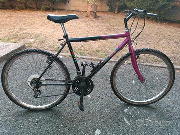 Bicicletta