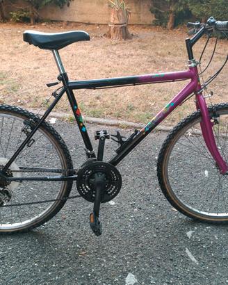 Bicicletta
