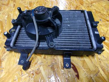 Radiatore acqua ORIGINALE SYM GTS 125 250 300