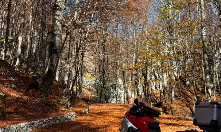 Multistrada 1200 Enduro