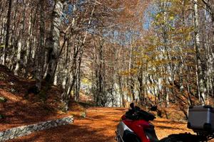 Multistrada 1200 Enduro