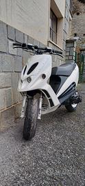 scooter malaguti phantom f 12
