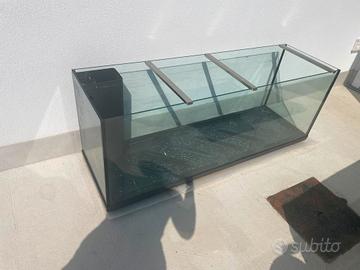 Acquario 