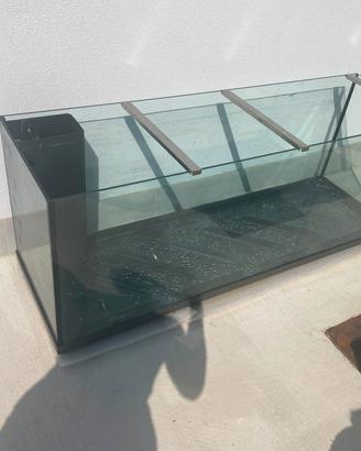 Acquario 