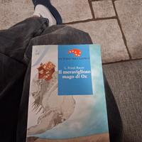  il meraviglioso mago di Oz