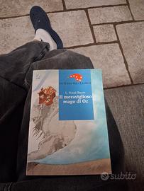  il meraviglioso mago di Oz