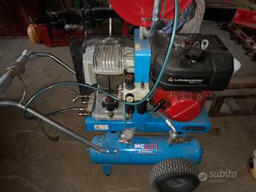 motocompressore raccolta olive