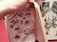 Immagine 4