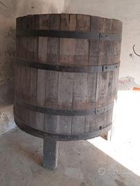 Tino tina uva vinificazione fermentazione