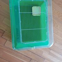 Tartarughiera/ gabbia 