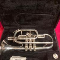 Tromba Cornetta argentata Jupiter