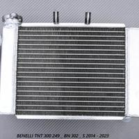 Radiatore BENELLI TNT 300 249 BN 302 S 2014 23