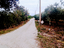 Immagine 5