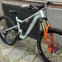 focus jam 6.9 custom 2023