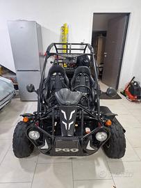 Nuovo Maxi Buggy 250cc