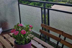 Splendido bilocale fronte mare lusso