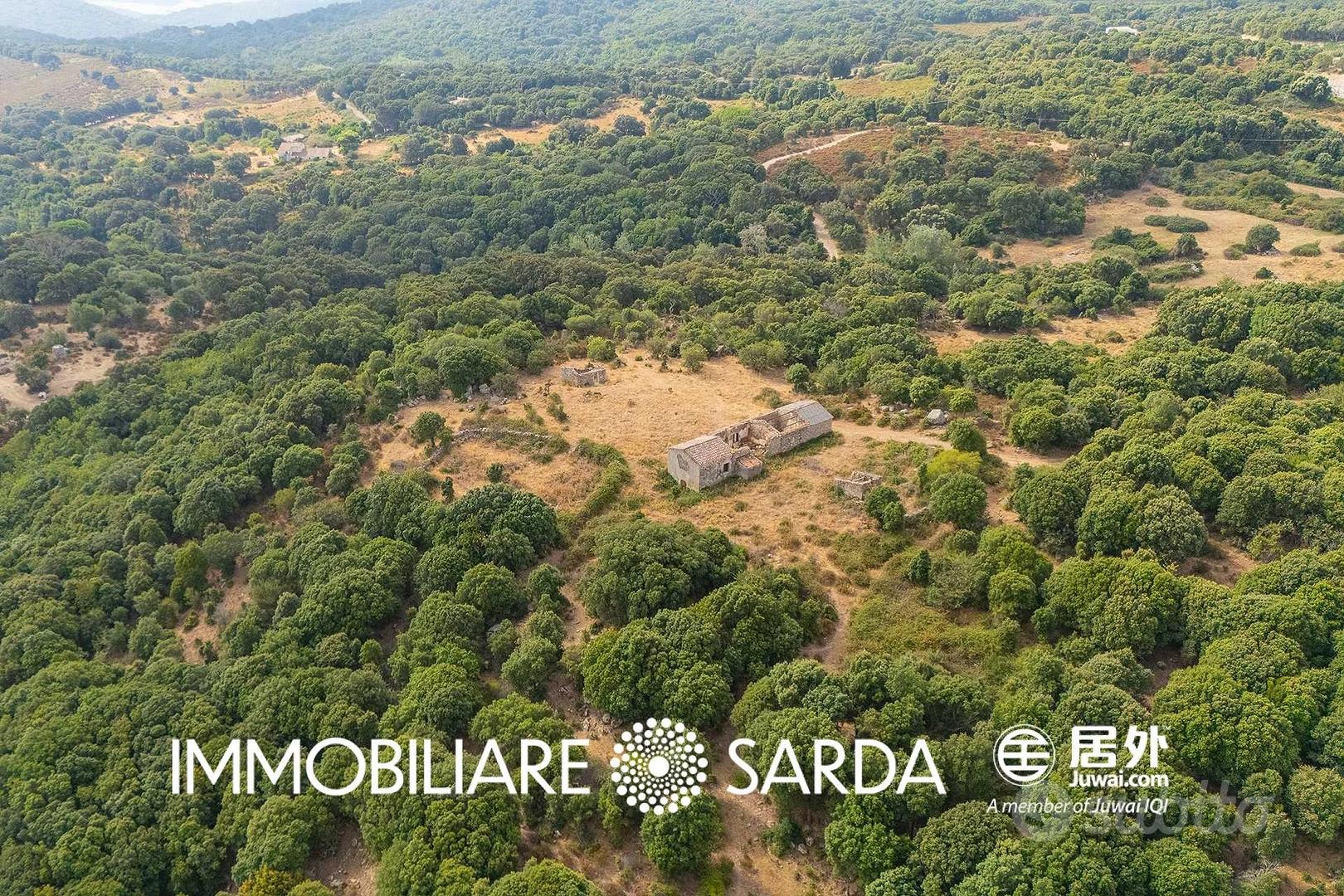 Antico stazzo gallurese da ristrutturare con 41 et - Altro