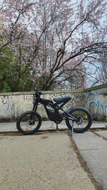E-bike king gt-2000