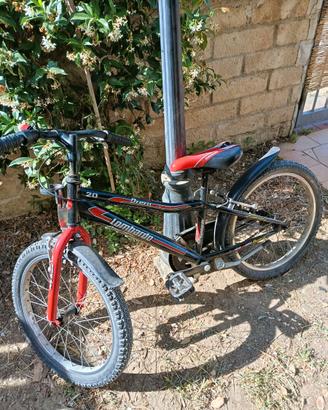 Bicicletta