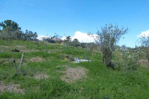 Terreno con casetta rurale Ter/32