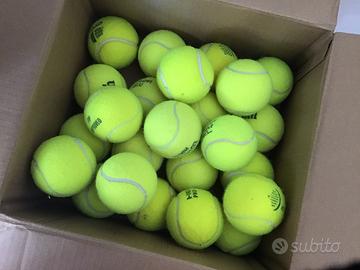 10 Palline da tennis per cani